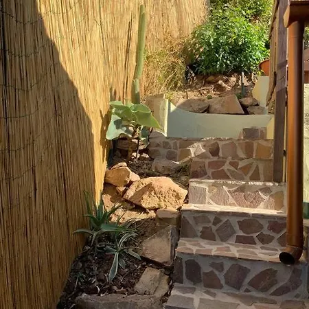 Roby's Nest